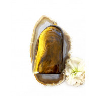 TIIGRISILM erikujuline