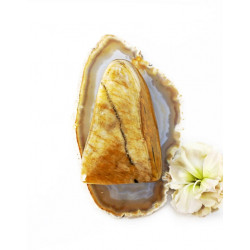 TIIGRISILM erikujuline