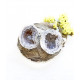 AGATE geode (double) AGATE geode (double)