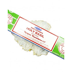 BASIILIK JA NAG CHAMPA viiruk (ca 12 tk pakis) BASIILIK JA NAG CHAMPA viiruk (ca 12 tk pakis)